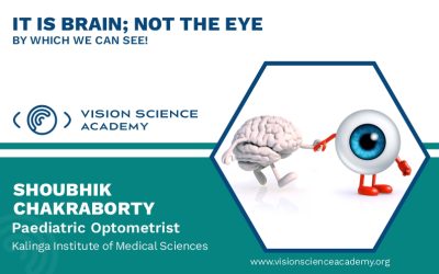 It is Brain; Not the Eye by Which We Can See!