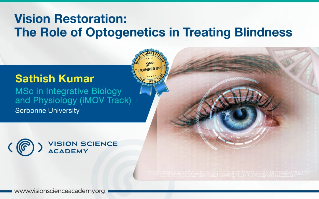 Vision Restoration: The Role of Optogenetics in Treating Blindness