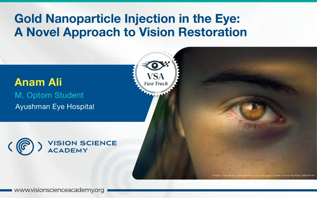 Gold Nanoparticle Injection In the Eye: A Novel Approach to Vision Restoration