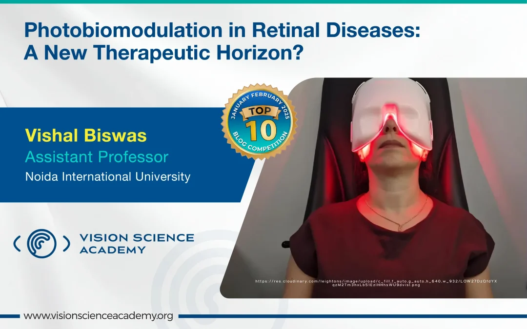 Photobiomodulation in Retinal Diseases: A New Therapeutic Horizon?