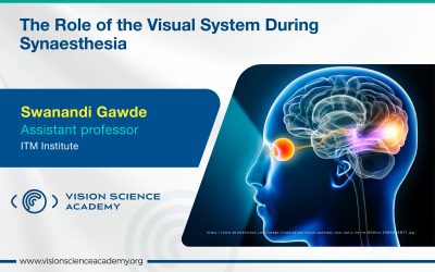 The Role of the Visual System During Synaesthesia