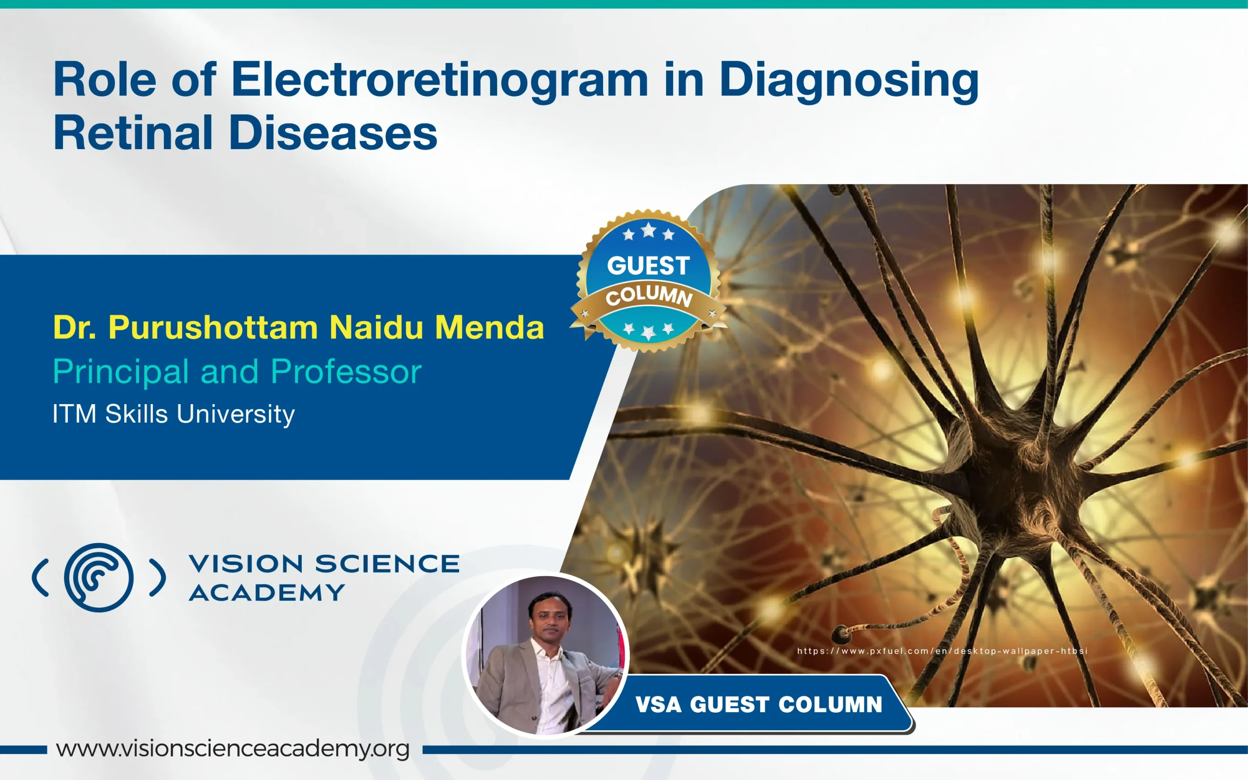 Role of Electroretinogram in Diagnosing Retinal Diseases - Vision