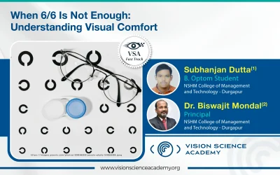 When 6/6 Is Not Enough: Understanding Visual Comfort