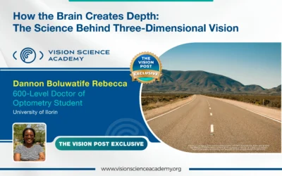 How the Brain Creates Depth: The Science Behind Three-Dimensional Vision