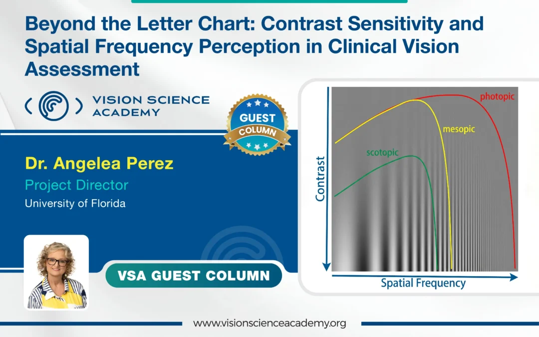 Beyond the Letter Chart: Contrast Sensitivity and Spatial Frequency Perception in Clinical Vision Assessment