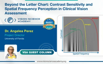 Beyond the Letter Chart: Contrast Sensitivity and Spatial Frequency Perception in Clinical Vision Assessment