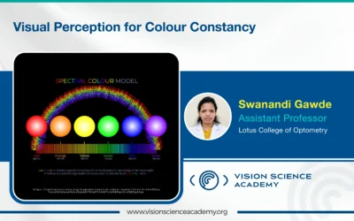 Visual Perception For Colour Constancy